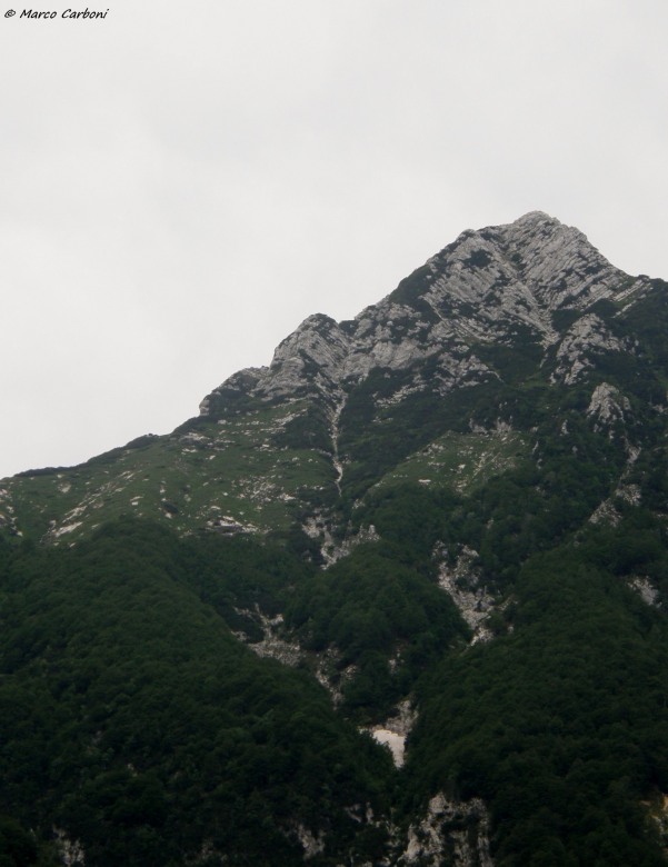 127088-p6200438.jpg