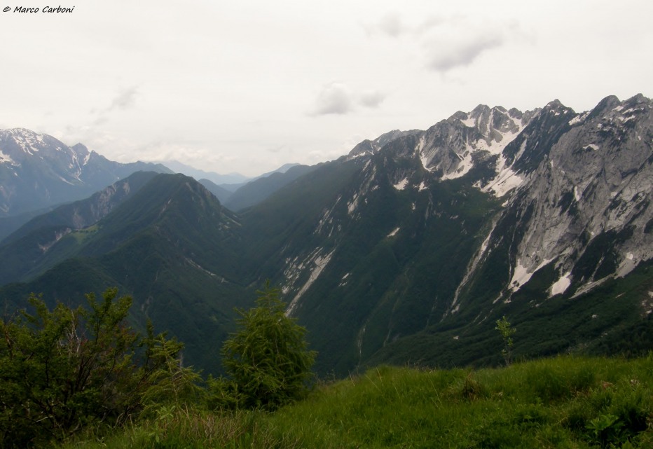 127098-p6200449.jpg