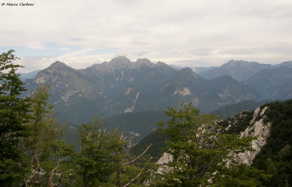 127101-p6200452.jpg
