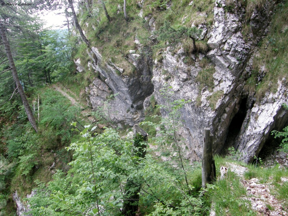 127108-p6200467.jpg