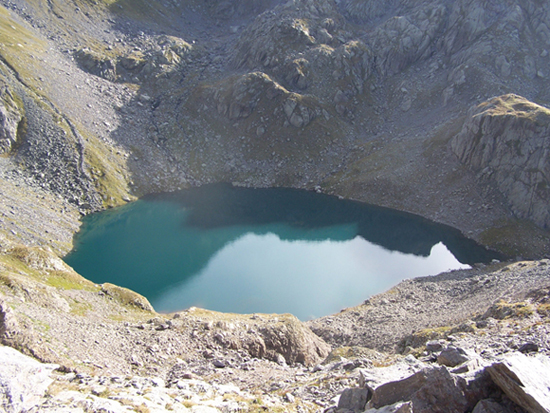 12718-1004840.jpg
