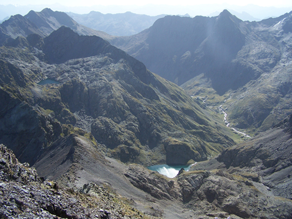 12732-1004855.jpg
