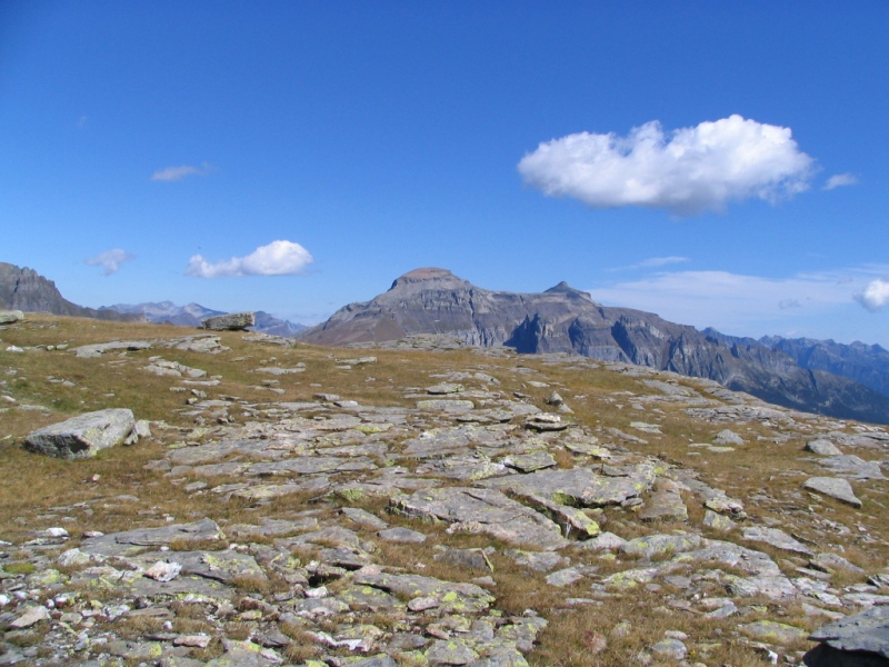 12932-copia-di-fuoco-064.jpg