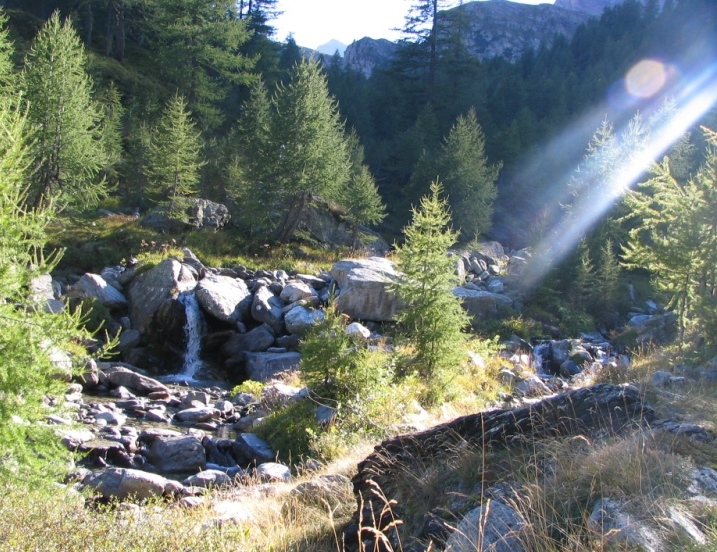 12945-copia-di-fuoco-137.jpg