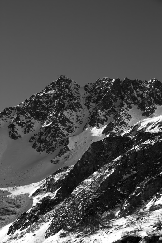 129694-img1207.jpg