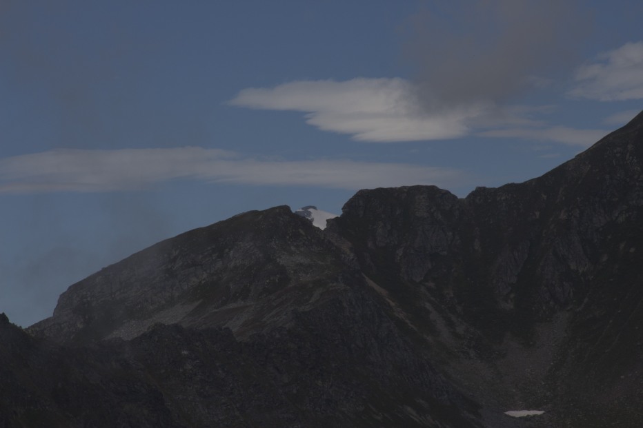 129745-wlfcopy.jpg