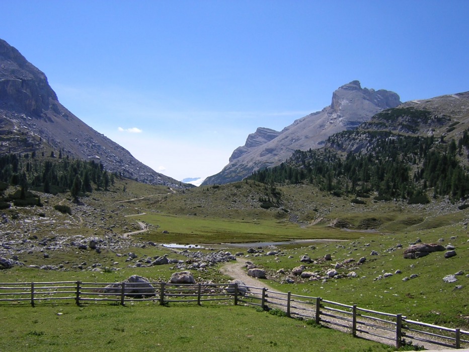 129797-wlf.jpg