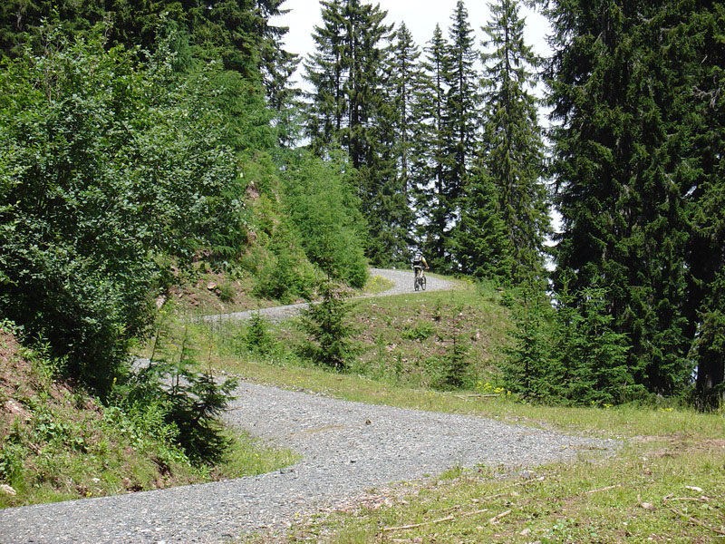 13067-acomizza-2.jpg