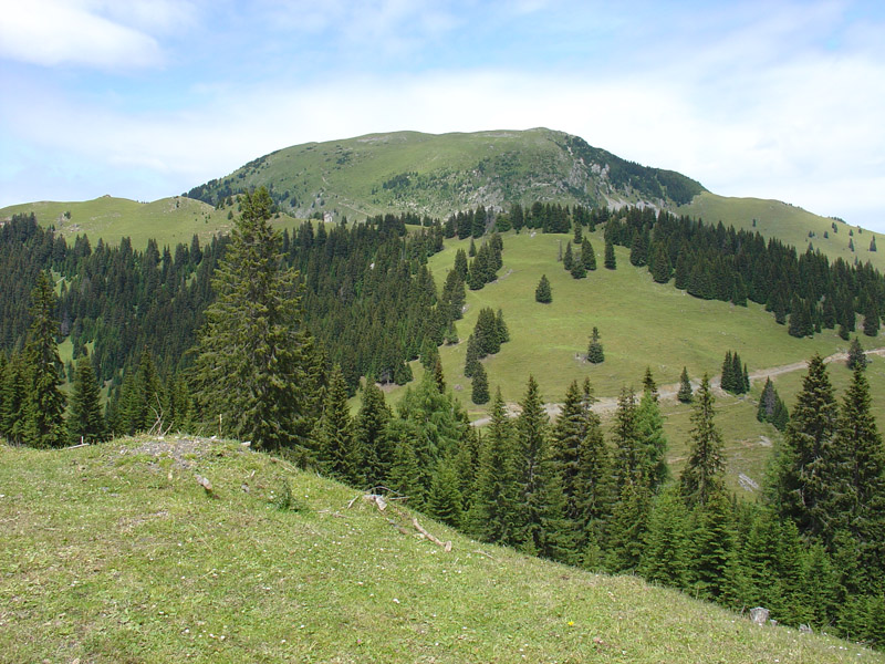 13069-acomizza-4.jpg