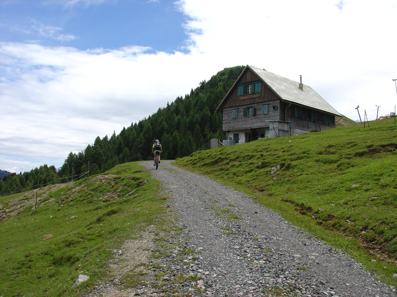 13070-acomizza-5.jpg
