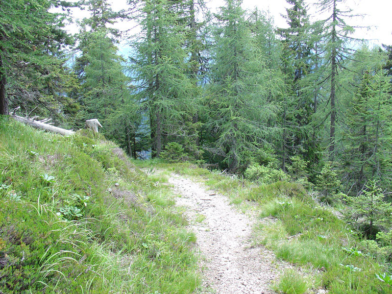 13080-acomizza-11.jpg
