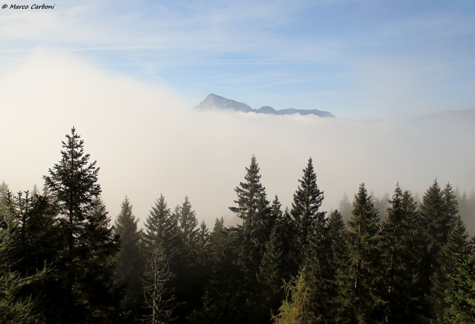 130815-img0049.jpg