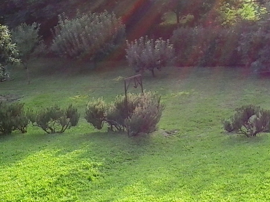 130955-20140823183809.jpg