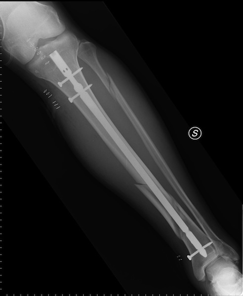 131147-image.jpg