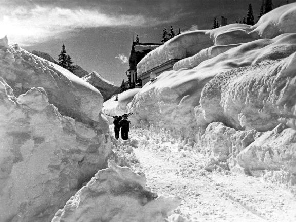 13291-neve-campiglio.jpg