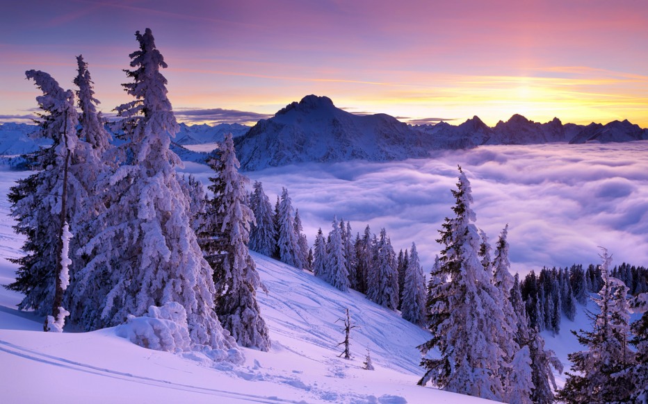 134705-purplewintersunset-widescreenwallpapers.jpg