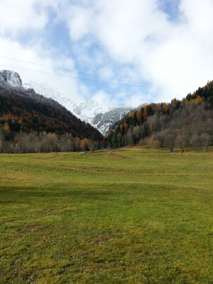 135765-nuova-immagine.jpg