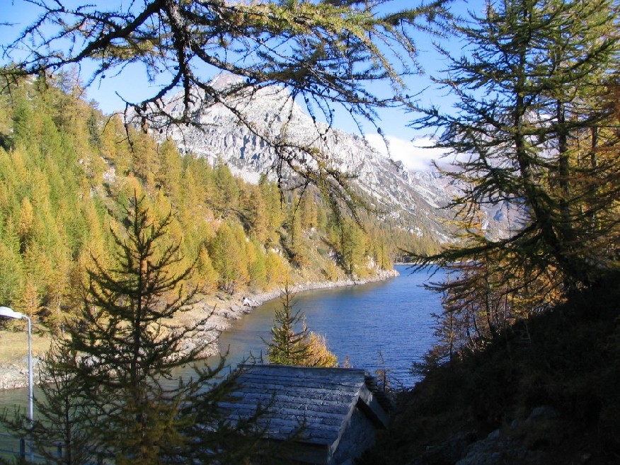 13611-copia-di-immagine-094.jpg