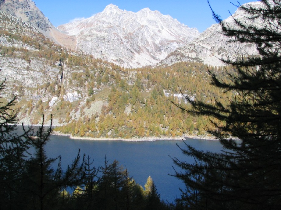 13612-copia-di-immagine-105.jpg