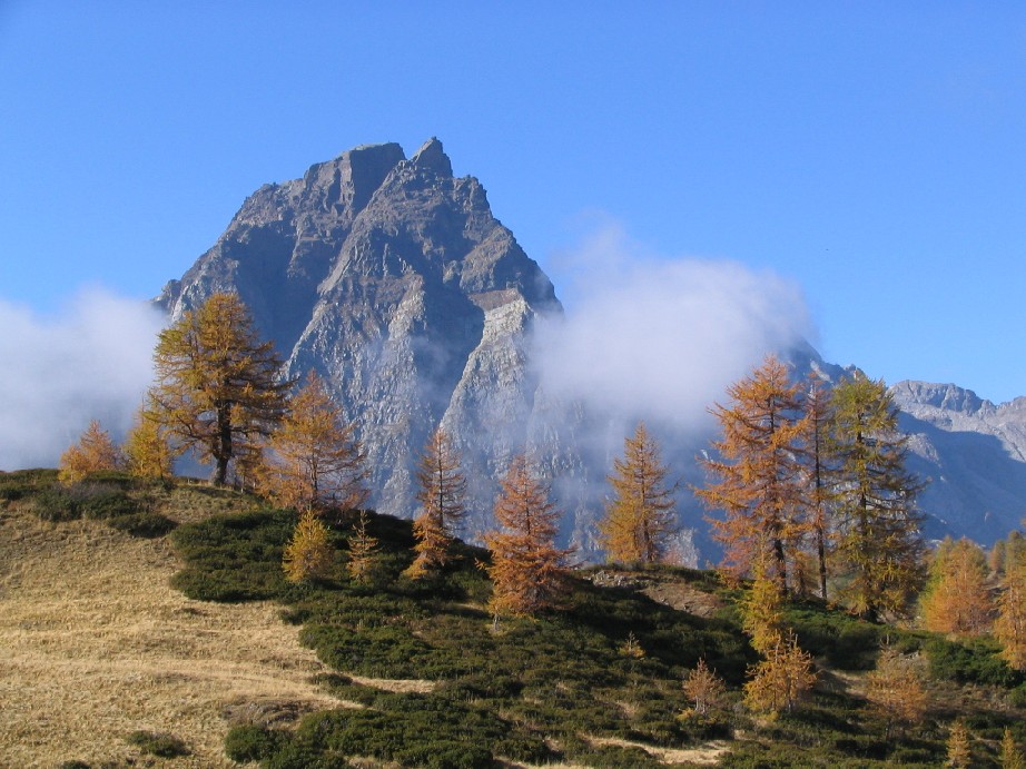 13623-copia-di-immagine-221.jpg