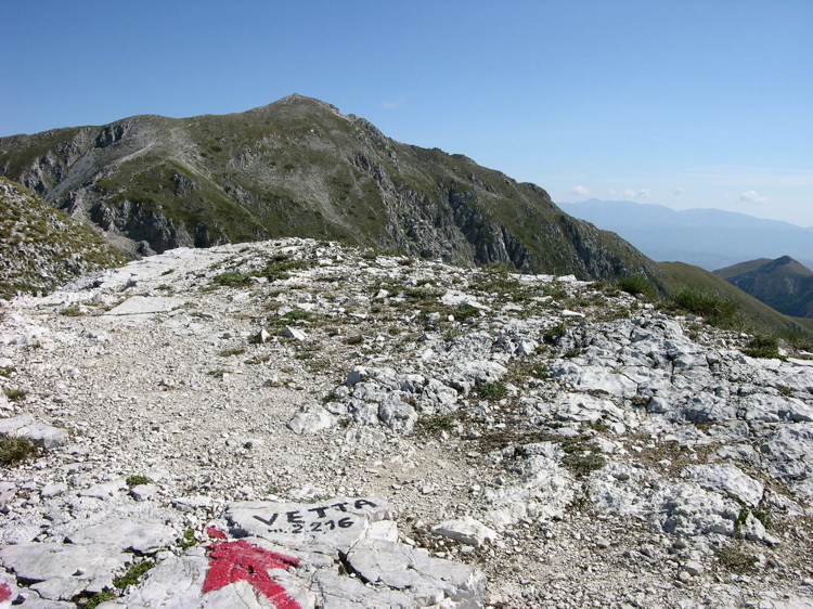 1373-dscn8864.jpg
