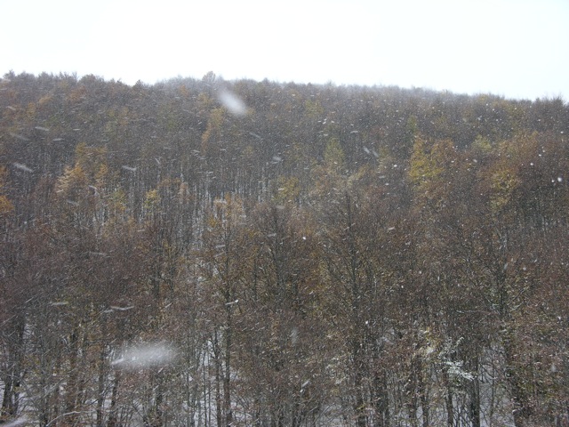 13869-dscn6948.jpg