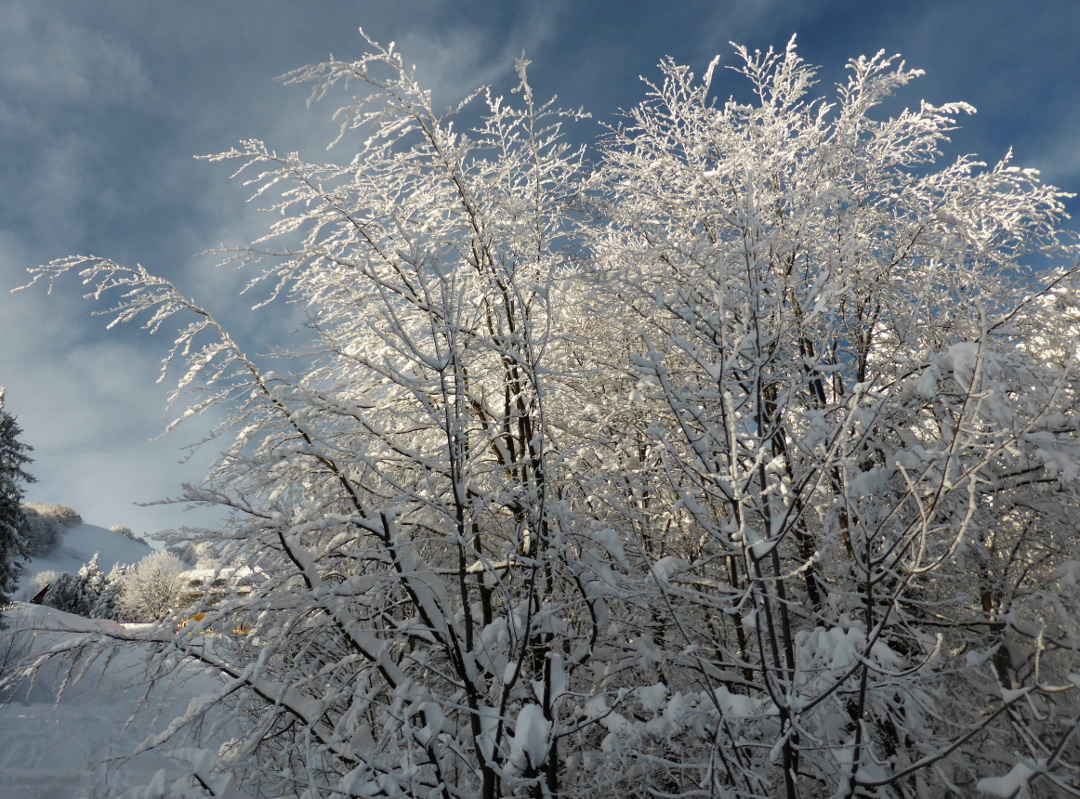 139970-p1050054.jpg