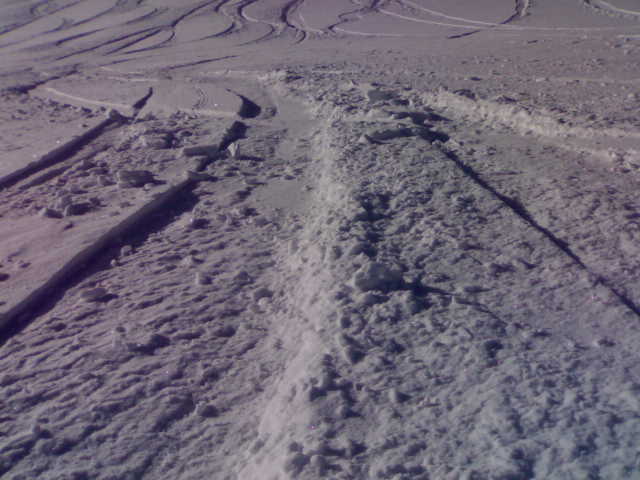 14137-img0003.jpg