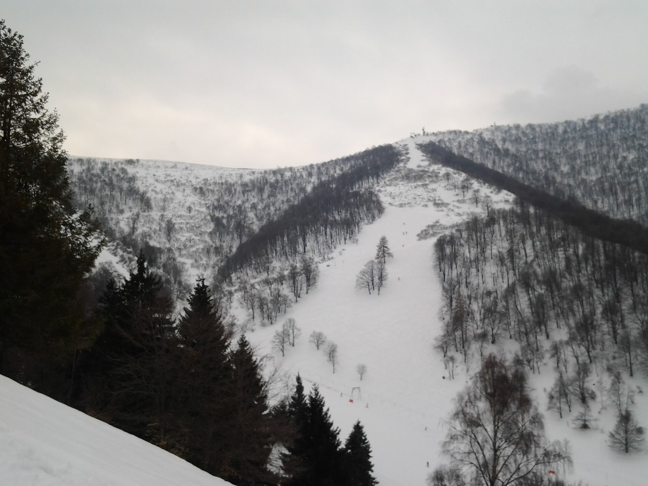 141770-2013-03-23-11.43.59.jpg