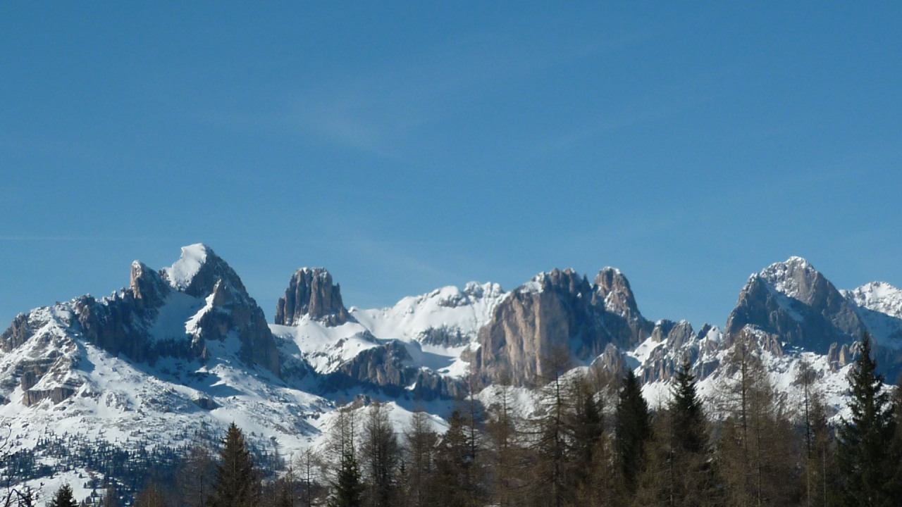 142340-p1110273.jpg