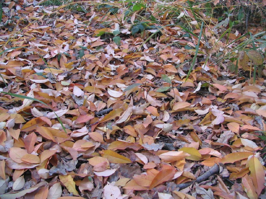 14275-copia-di-immagine-009.jpg