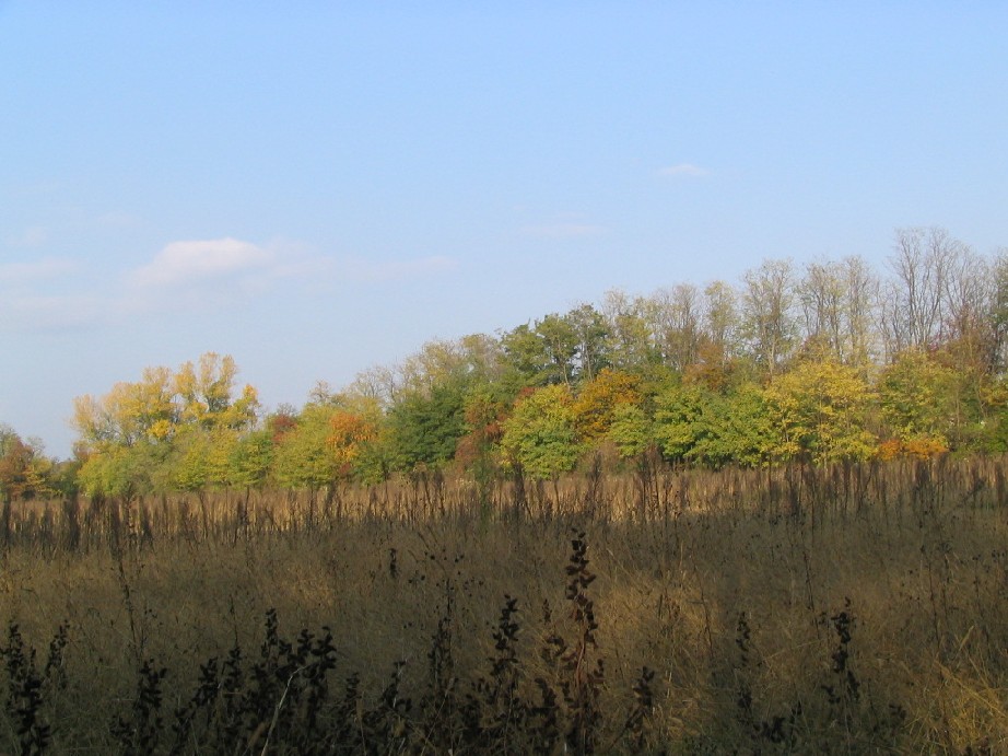 14276-copia-di-immagine-010.jpg
