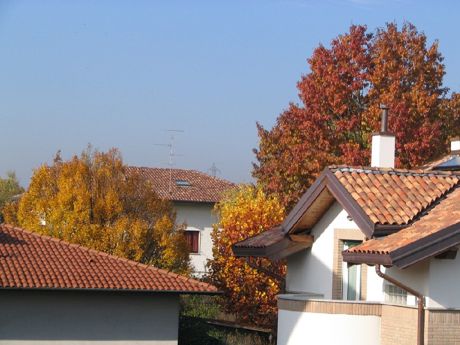 14280-copia-di-immagine-024.jpg