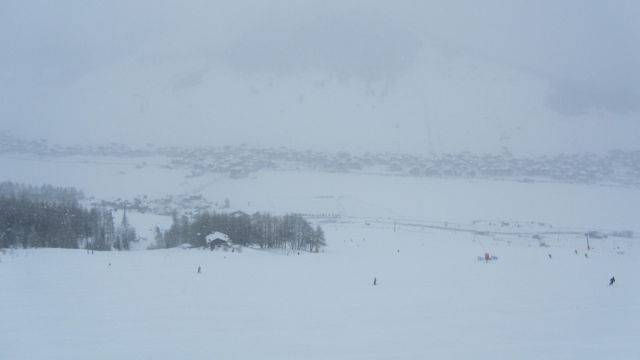 143249-img2390.jpg