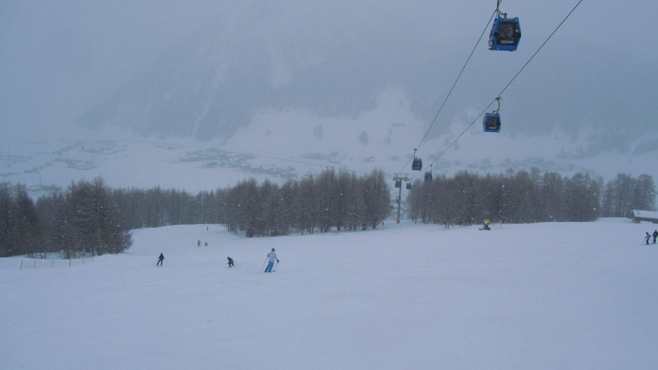 143262-img2443.jpg