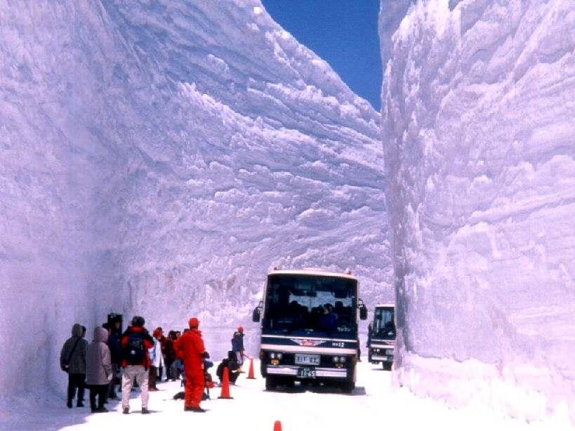1446-pulman-neve.jpg