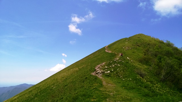 146179-wp20150517124410pro.jpg