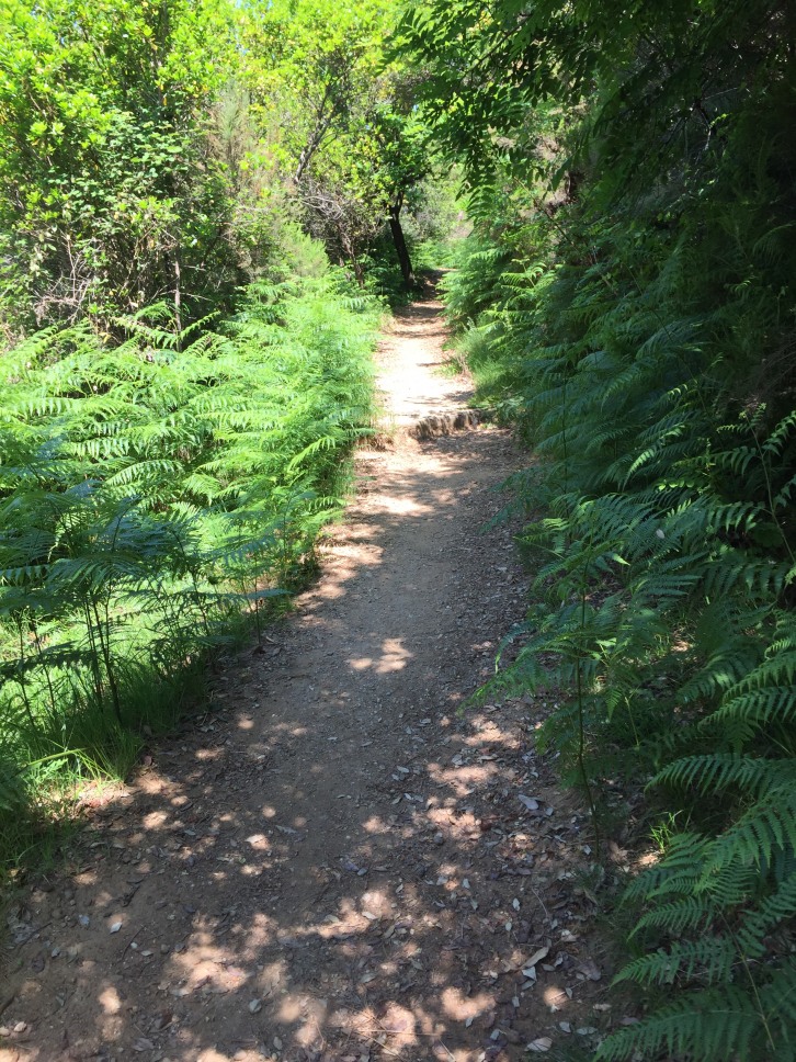 146553-img0275.jpg