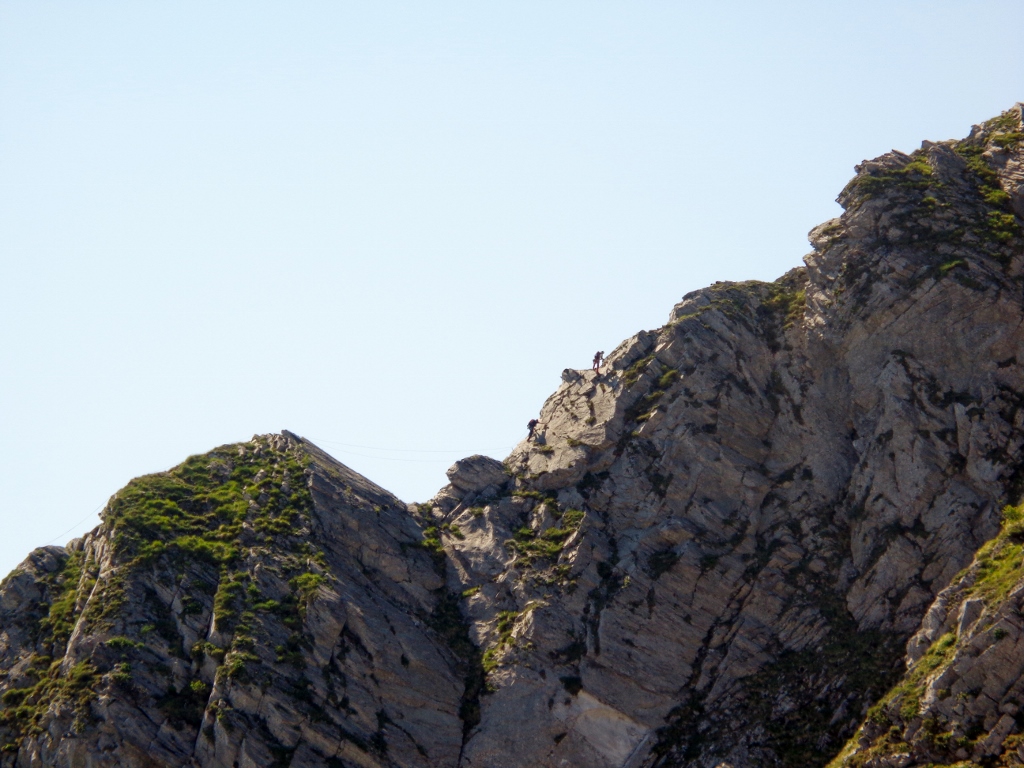 146651-dsc01618.jpg