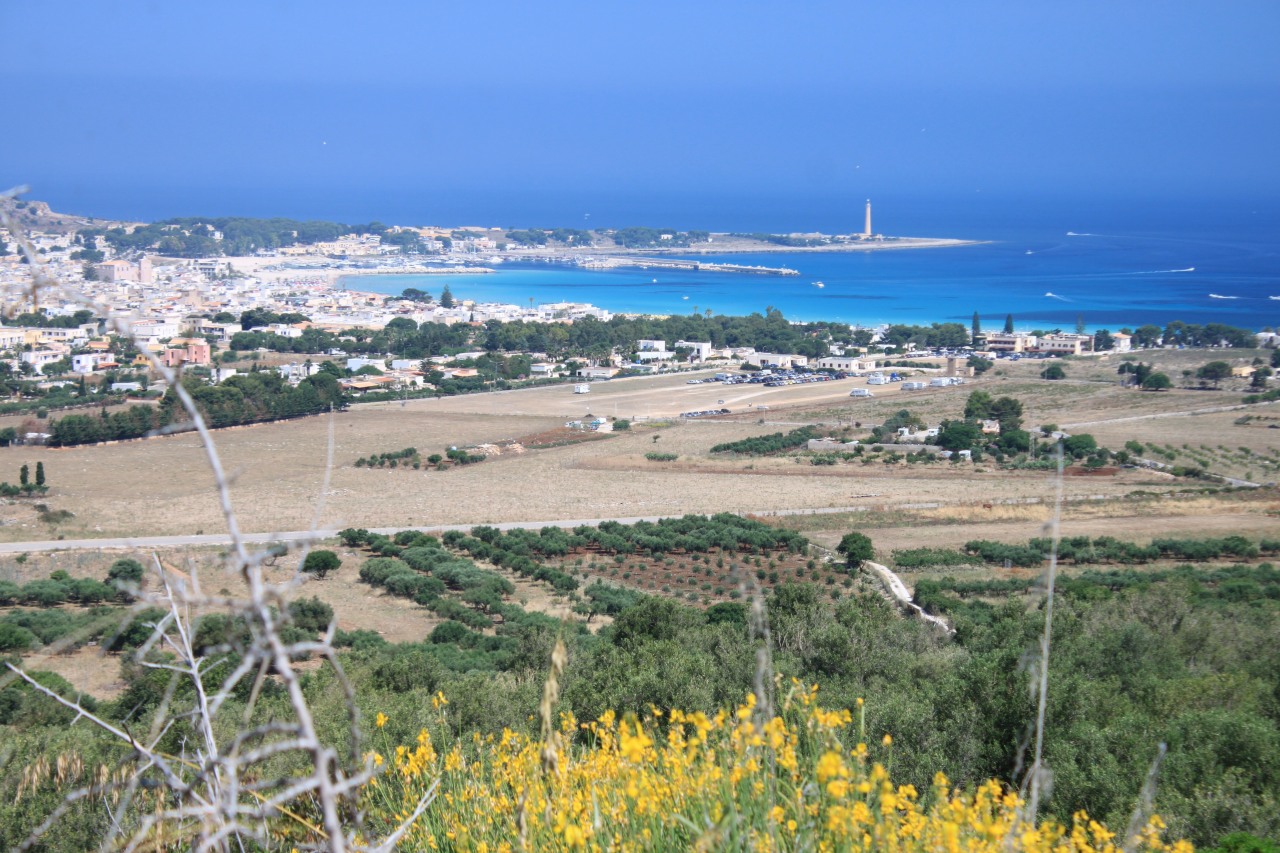 146658-image.jpg