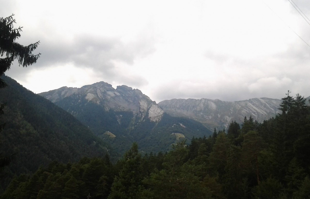 148526-2015-07-26-16.01.59x.jpg