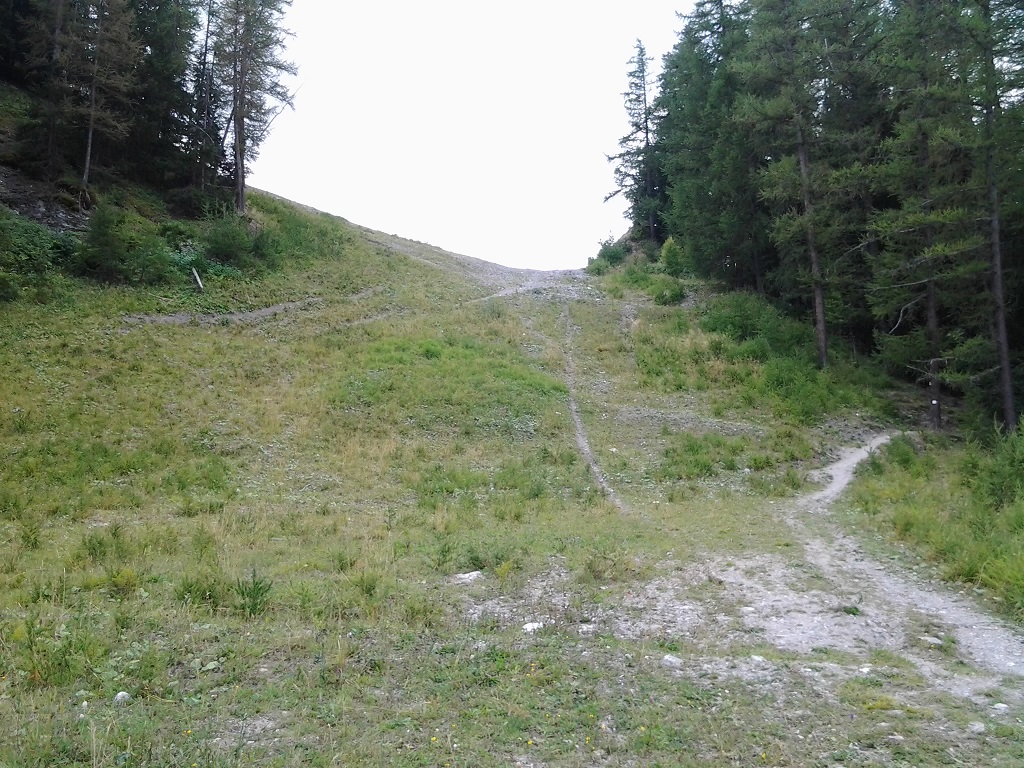 149063-2015-08-13-13.23.01.jpg