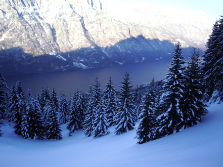 14954-skiforum2a.jpg
