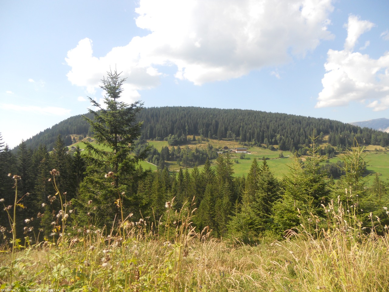 149707-dscn9365.jpg