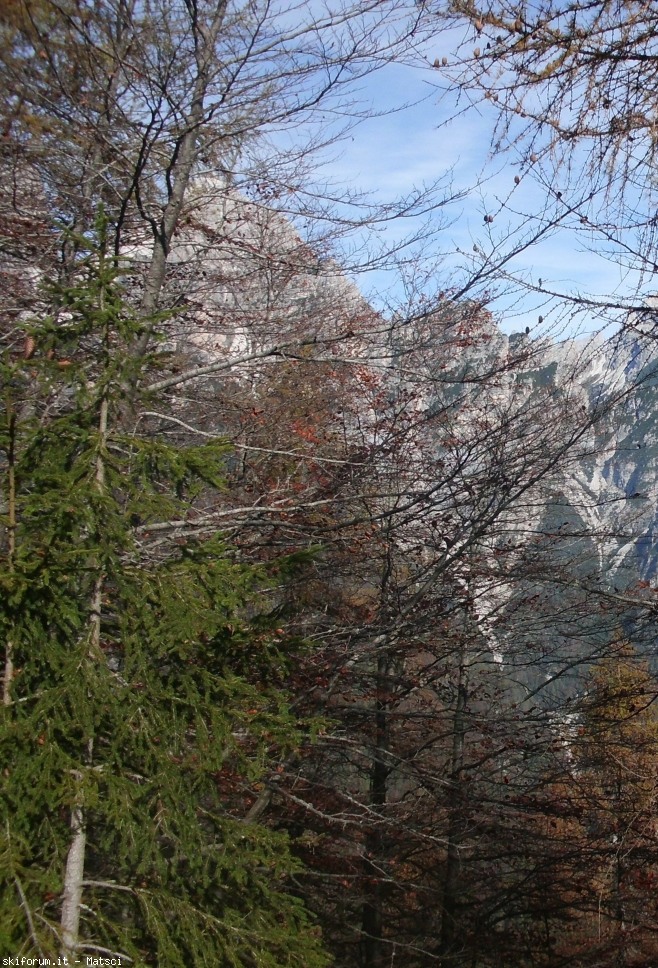 150299-cimg2394a.jpg