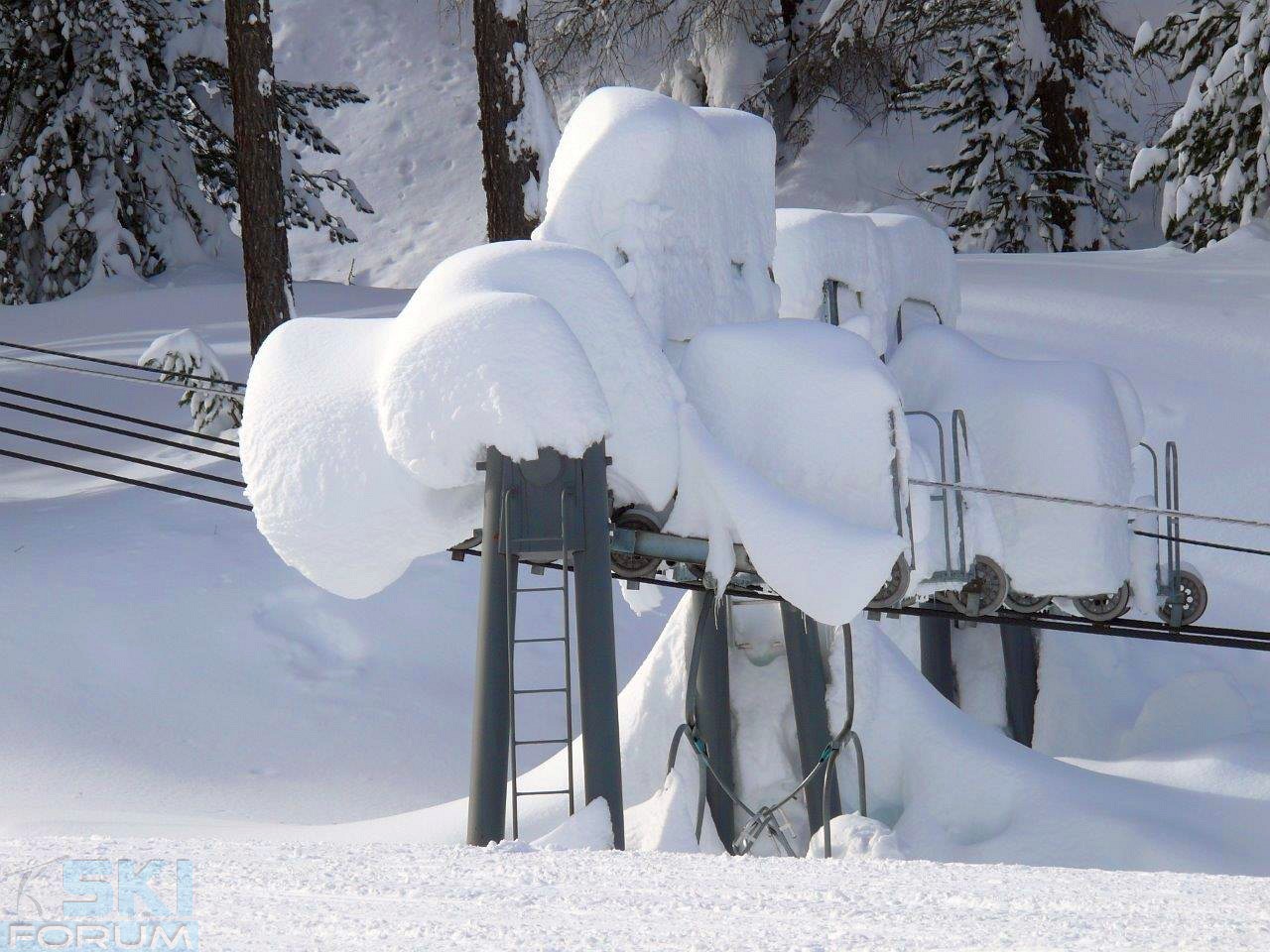 151841-tantissima-neve.jpg