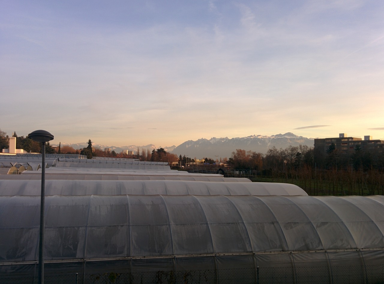 155439-2015-12-11-16.16.37.jpg