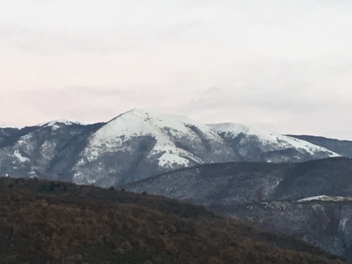 158639-montep.jpg
