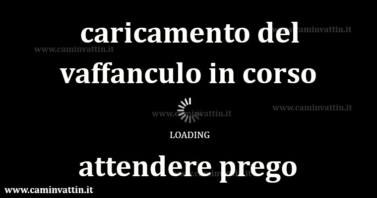 162626-caricamento-loading-vaffanculo-vignette-divertenti-immagini-bari-camin-vattin.jpg