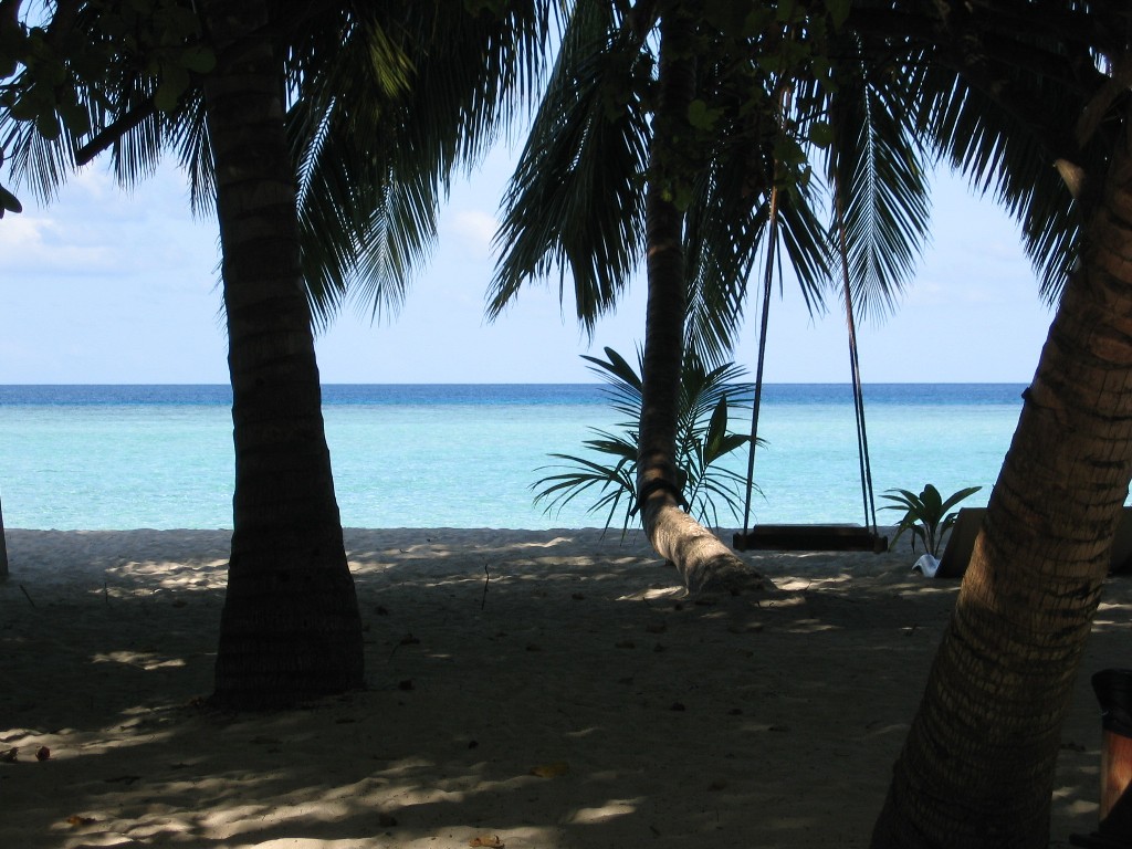 1636-maldive-spiaggia.jpg